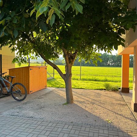 فيلا Rekreacni Dum U Jezer, Milovice 6 المظهر الخارجي الصورة